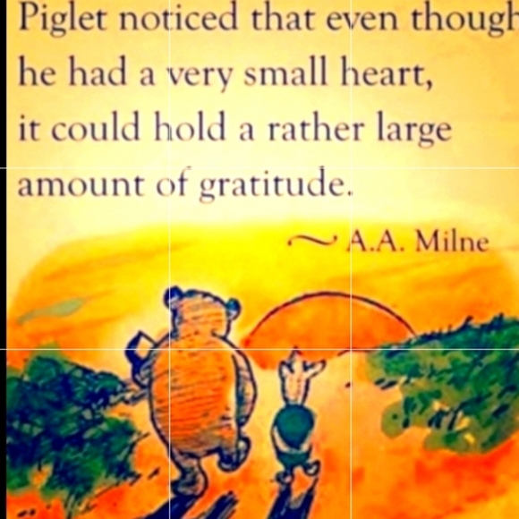 CREWNECK Sweater HUNTER GREEN 100% COTTON VNPLC Relativity Sz L - Picture 9 of 16